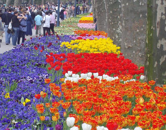 hotel-gulhane-park-istanbul-25