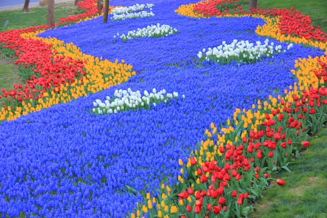 istanbul-lale-festivali-2015-0